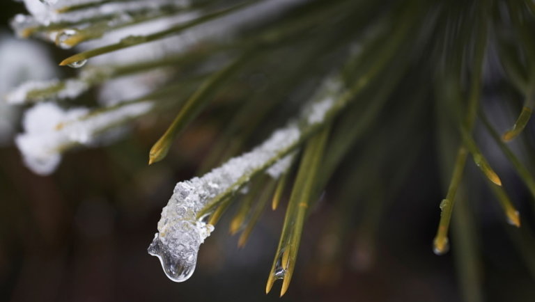 Január végére ideért a tél: másodfokú figyelmeztetést is kiadtak az ónos eső miatt