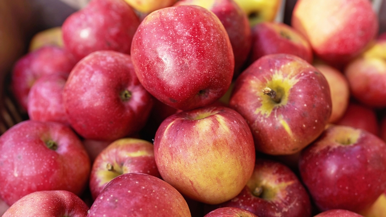 Rossz hírek érkeztek Ausztriából: az alma és a körte is megszívta az idei évet