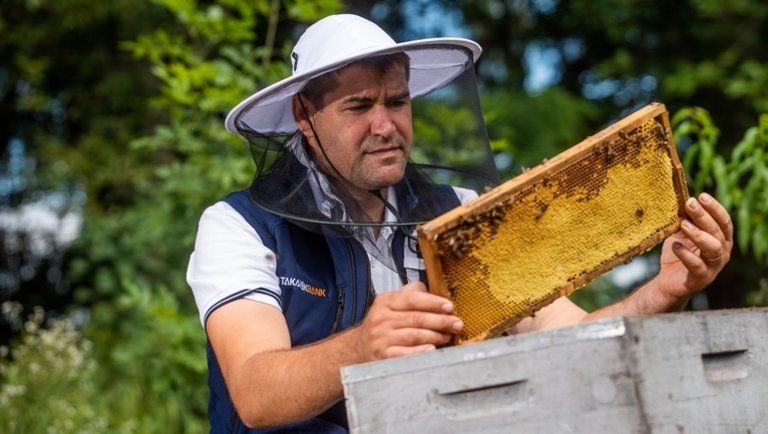 A méhek szorgalmával - Gazdaportré: Molnár Gergely