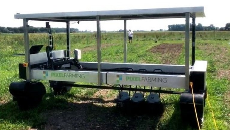 Zseniális: ezzel a módszerrel termesztenek zöldséget a profi holland gazdák