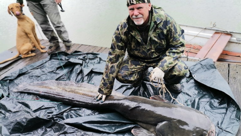 Ez lenyűgöző: valóságos halóriást fogott egy horgász a Pelikán horgásztavon