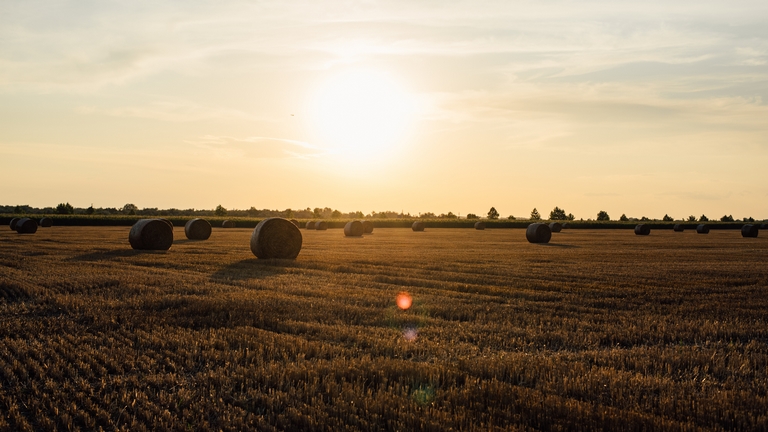 Beruházási dömping kezdődhet a magyar agráriumban: óriási fejlesztések jöhetnek