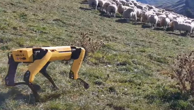 Erre senki se számított: a mezőgazdaság újabb területét hódíthatják meg a robotok