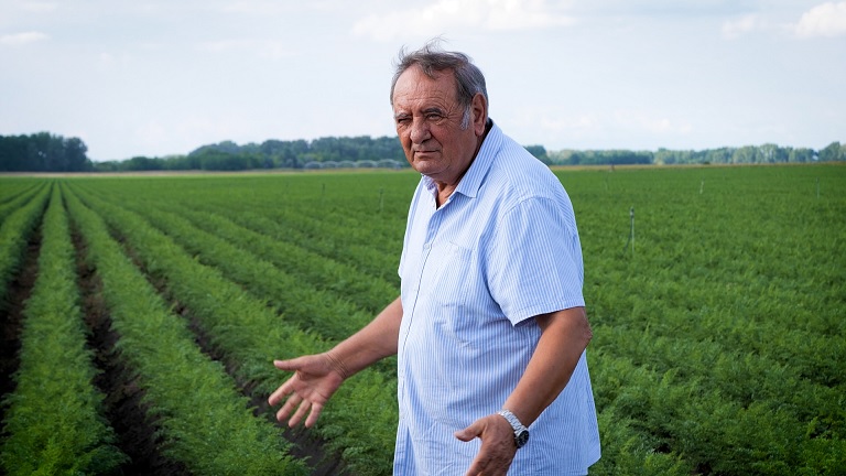 Terveiről vallott a magyar kertészet vezetője: új termékekkel tarolnák le a boltokat