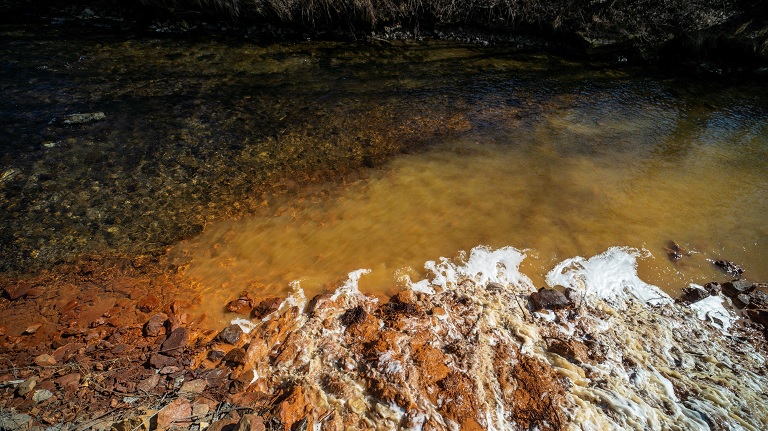 Szörnyű katasztrófa a Sajón: meg lehet állítani a folyó pusztító szennyezését?