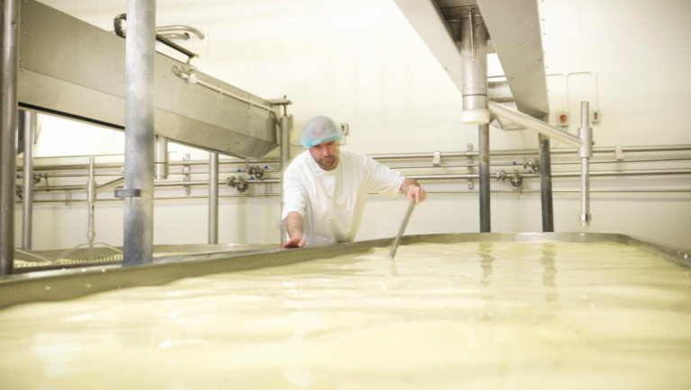 Több milliárdos fejlesztés indul Szekszárdon: kibővül az ország legnagyobb sajtüzeme