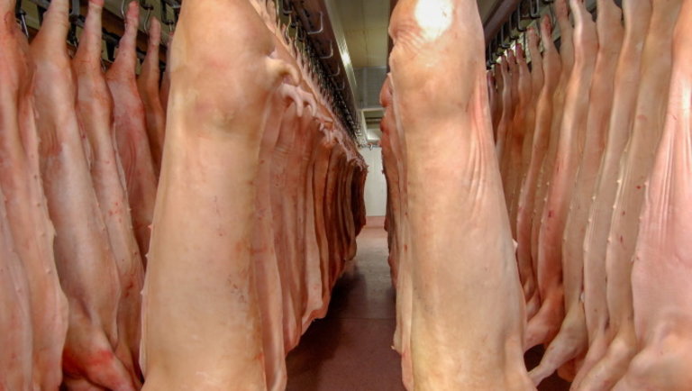 Koronavírus: az uniós sertéshús-termelést még a járvány sem tudta megakasztani 