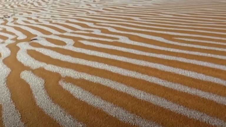 Szürreális dolog történt a Szaharában: váratlanul fehérbe borult a sivatag