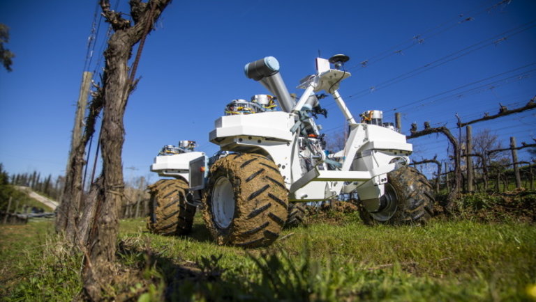Előretörnek a robotok: Olaszország is a mezőgazdaság automatizálása pártjára állt