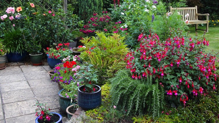Filléres trükkök a kertbe: ezekkel garantáltan virágozni fog minden növény