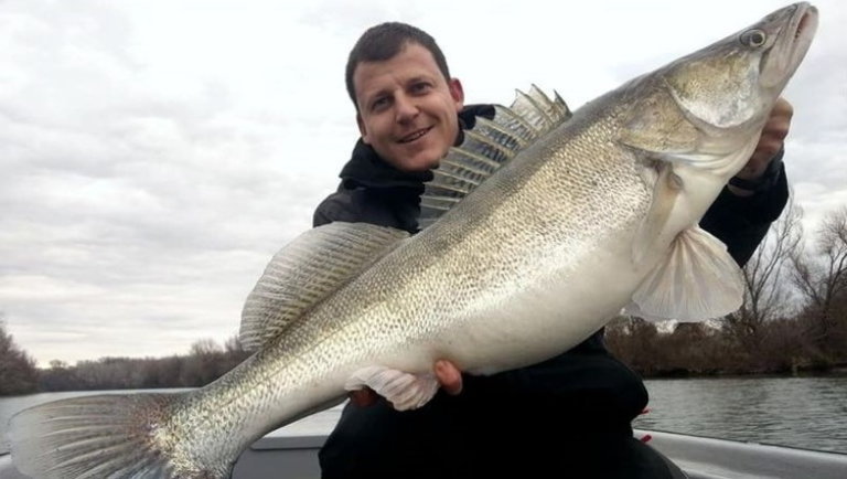 Újabb halóriást fogtak Magyarországon: rekordot döntött a horgász