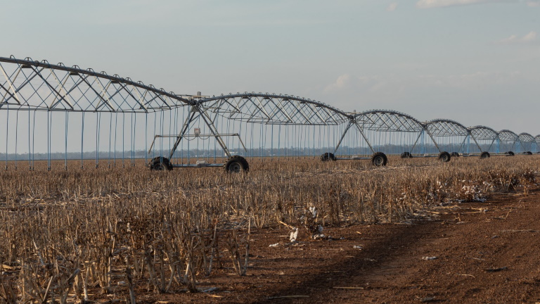 Aggasztó hírek érkeztek: a túléléséért küzd a növénytermesztés Magyarországon?