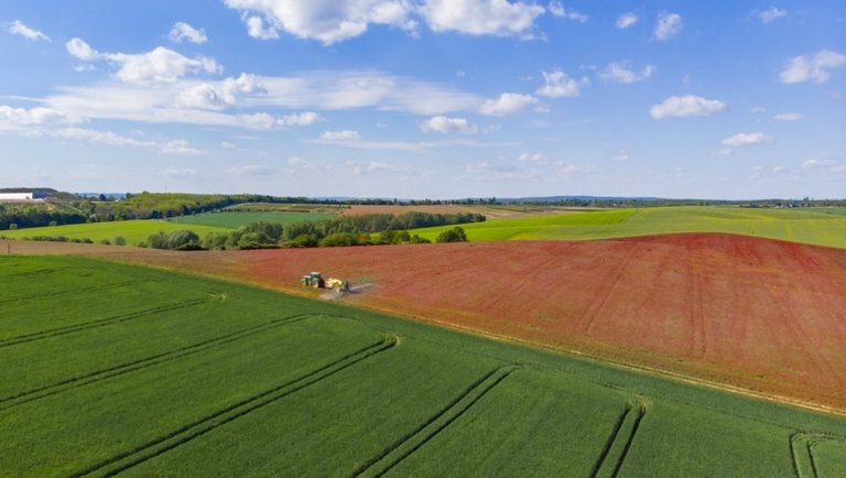 Kellemetlen időjárási jelenség okozhat komoly károkat a magyar mezőgazdaságban