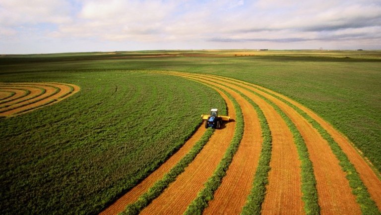 Amerikai farmer: Mire számíthatnak a farmerek az USA elnökválasztás után?
