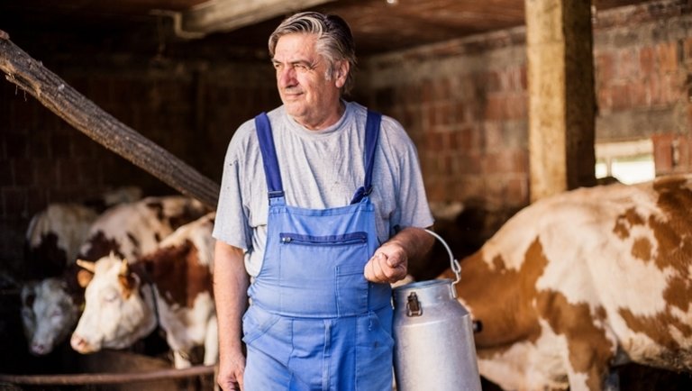 Ételünk és jövőnk: Kiszoríthatja a növényi tej a tehéntejet?