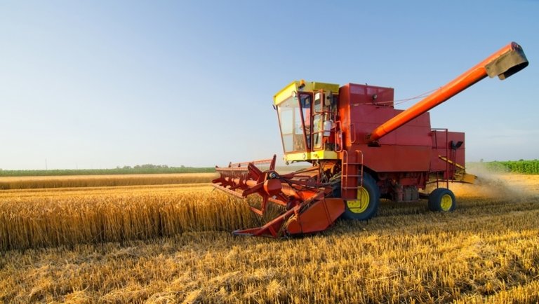 Agrárfinanszírozás nyelve: Miért a mezőgazdaság működik az egyik legalacsonyabb csődrátával?