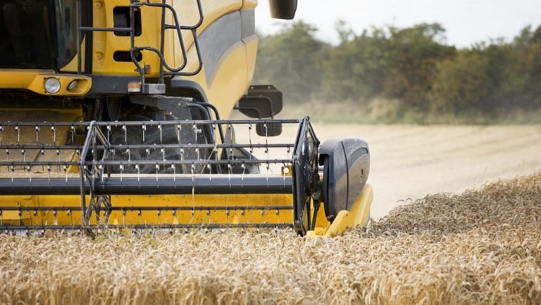 Agrárfinanszírozás nyelve: Mit várunk 2020-ban az agrárfinanszírozási piacon?