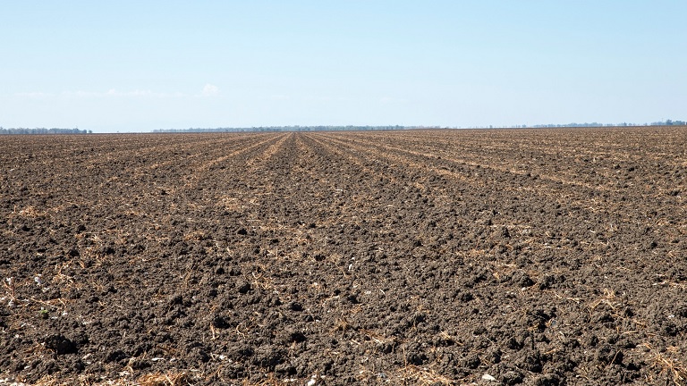 Aggasztó dolog derült ki a talajokról: veszélybe kerülhet a növénytermesztés?