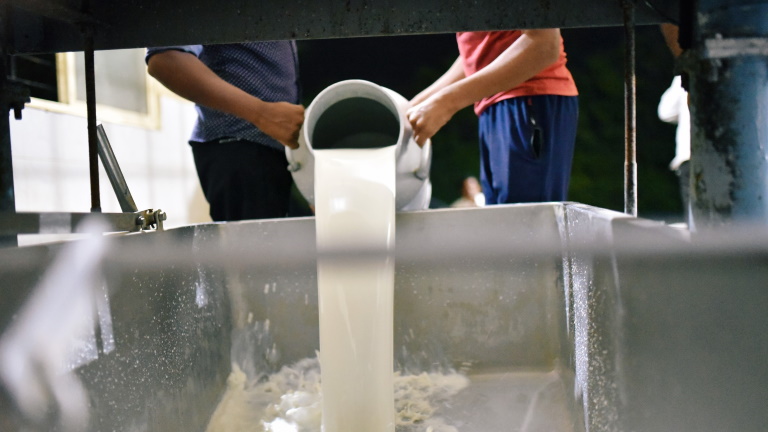 A számok nem hazudnak: meglepő adatok érkeztek Európa tejtermeléséről