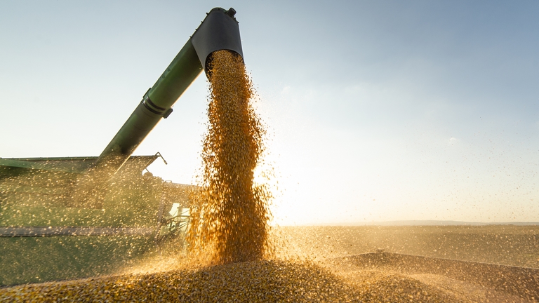 Váratlan fordulat a mezőgazdaságban: meglepő dolog történt a termelői árakkal