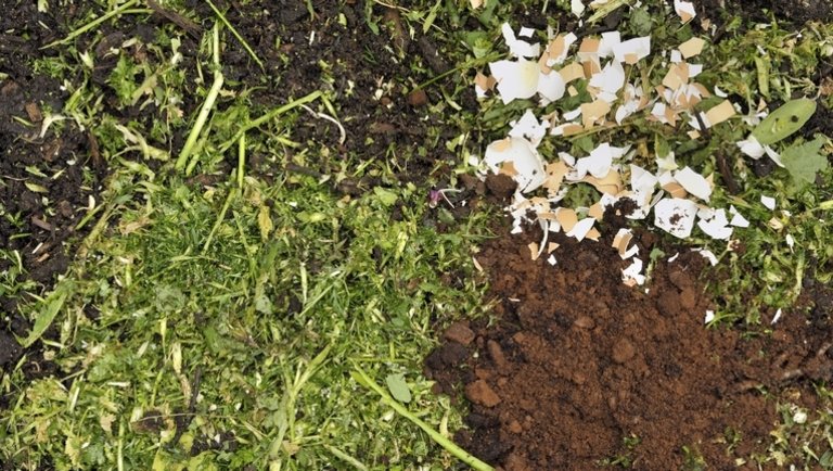 Pénztárcabarát megoldások a kertbe: így turbózzák fel a növényeket az élelmes gazdák