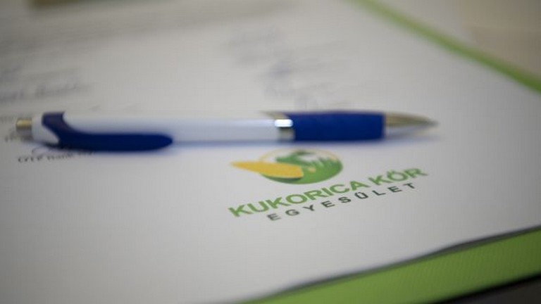 Itt a bejelentés: komoly segítséget kapnak a magyar kukoricatermelők