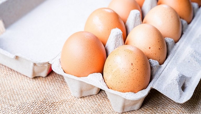 Fontos összefogás született tojásfronton: ebbe most bármelyik termelő beszállhat
