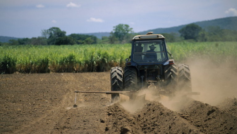 Nincs megállás: ilyen tempóban dolgoznak most a mezőgazdasági gépek a földeken