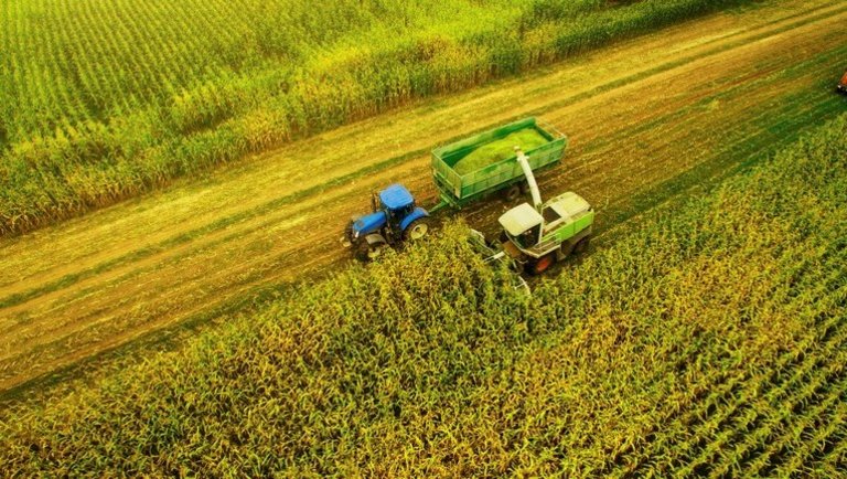 Bizakodnak a gazdák Magyarországon: erre készülhetnek 2021-ben