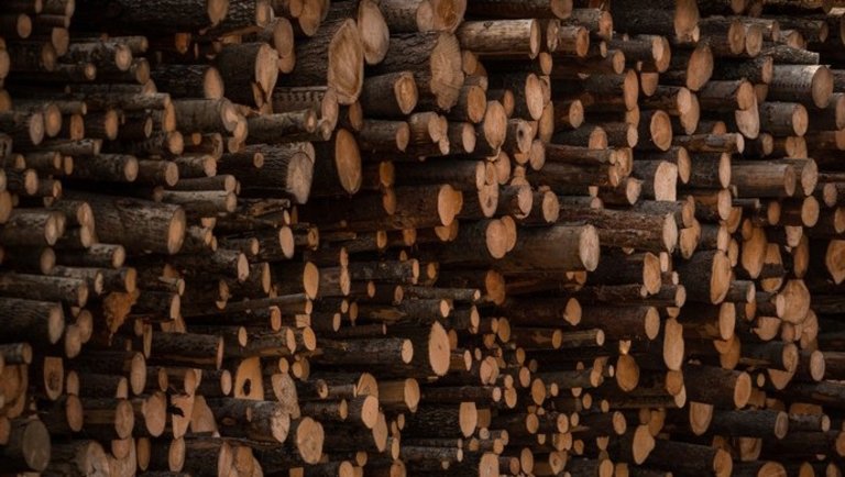 Brutális mennyiségű tűzifát kobzott el a hatóság az illegális fakereskedőktől