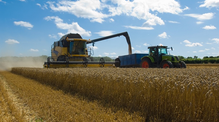 Súlyos döntést hozott Ukrajna: csak így tudják kivinni a gabonát az országból