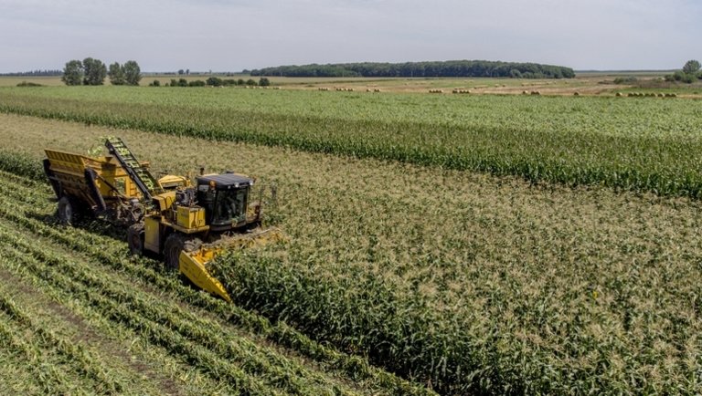 Drasztikus változások jönnek az agráriumban: komoly kihívások előtt a magyar gazdák