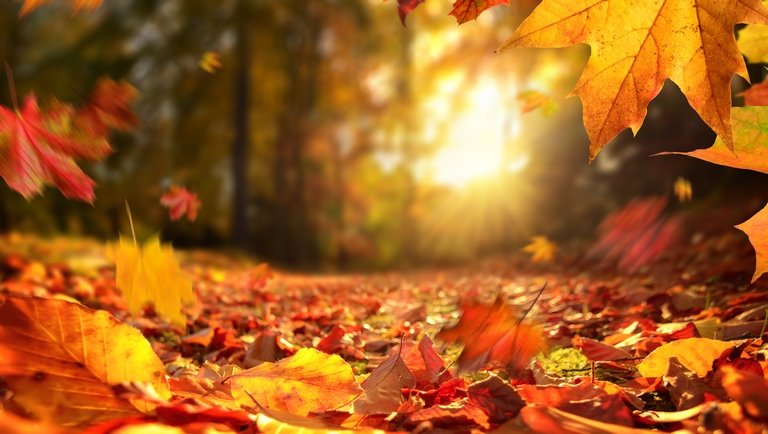 Durva lehűléssel búcsúzik a nyár: vasárnaptól beköszönt az ősz