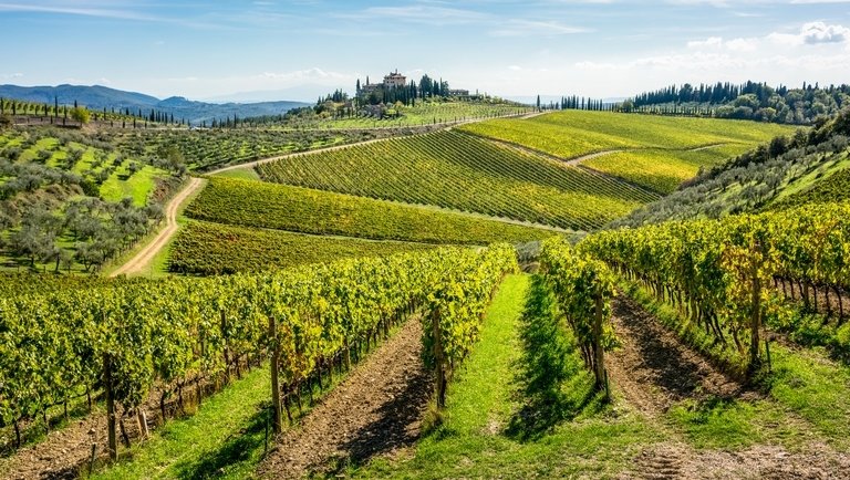 Sokkoló jelentés: eltűnhet a világ bortermelő vidékeinek több mint a fele
