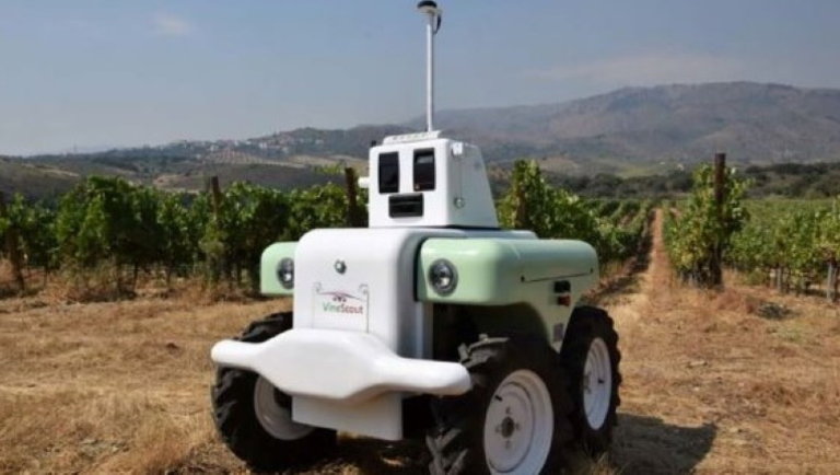 Nagyot alkottak a spanyol feltalálók: ez a robot lepipálja a szőlőcsőszöket