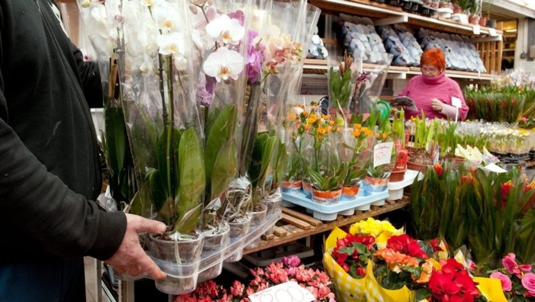 Itt a rendelet: korlátozás nélkül nyitva lehetnek a virágüzletek a hosszú hétvégén