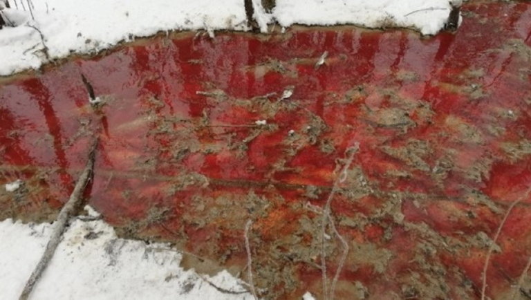 Horror Oroszországban: vérvörössé változott egy folyó vize