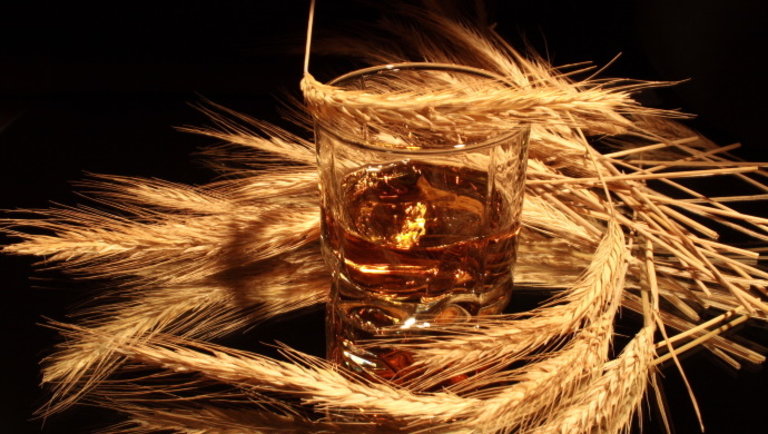 A brit tudósok megcsinálták: ebből a növényből készülhet a jövő whiskyje