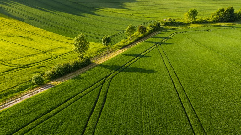 Változnak a zöldítési szabályok 2022-ben: erre minden gazdának figyelnie kell