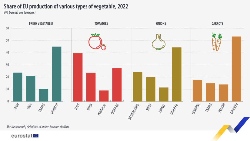 Az egyes uniós tagállamok részesedése az egyes zöldségfélék termesztéséből (Forrás: Eurostat)
