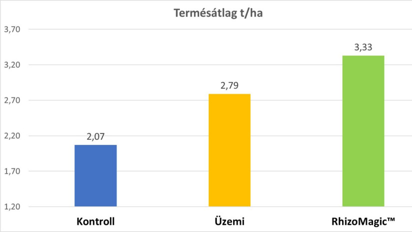 Poszt gyomirtásssal és gombaölő szeres kezeléssel egyidőben kijuttatott 2x2 l/ha RhizoMagic™ hatása napraforgóban (Debrecen-Látókép, 2021)