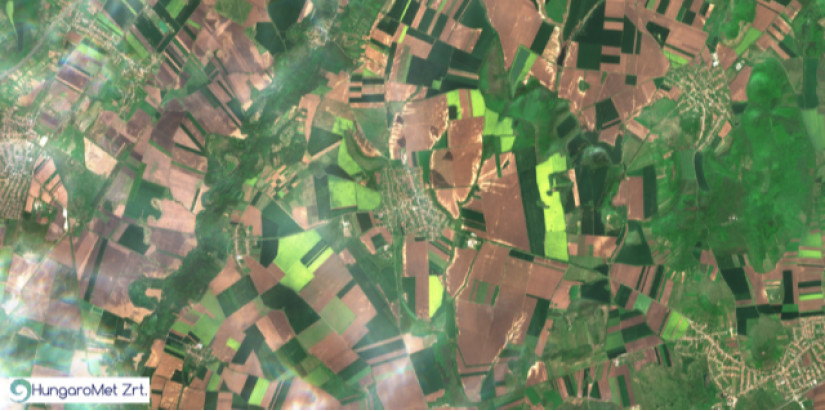 Virágzó őszi káposztarepce táblák (sárga színűek) 2024. 04. 10-én Megyaszó (BAZ vármegye) térségében Sentinel-2-es műholdfelvételen