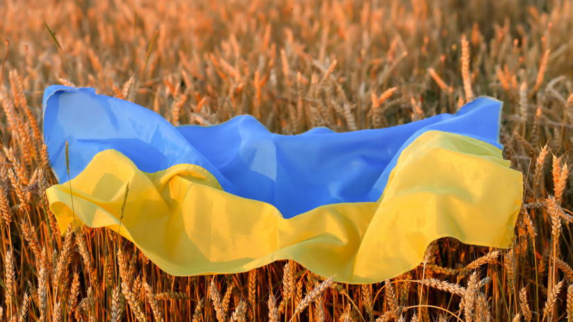 Megdöbbentő számok láttak napvilágot: durva, ami az ukrán gabonával történt