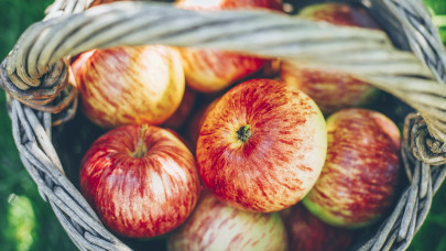 Meglepő, ami az almával történt idén Olaszországban: ennek most örülhetnek a gazdák