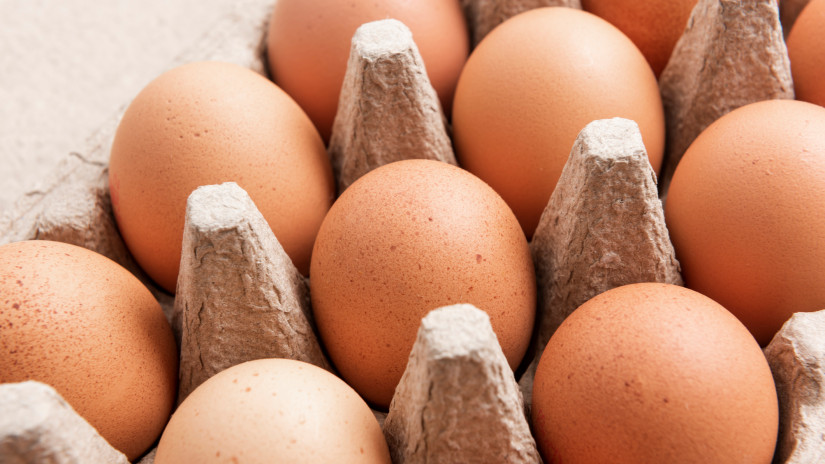 Váratlan hírek érkeztek a magyar tojásról: ezt jobb, ha mindenki tudja