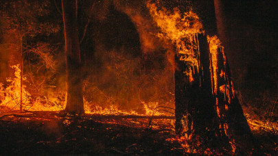 Rengeteg fa égett le Európában: brutálisak a károk