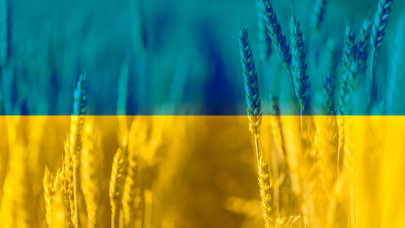 Sokkoló a gabonahelyzet Ukrajnában: bekövetkezett, amitől mindenki tartott