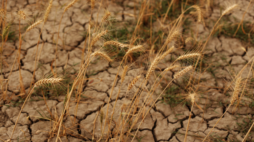 Mit tehet az agrárium a klímaváltozás ellen? - Áder János az Agrárszektor Konferencián