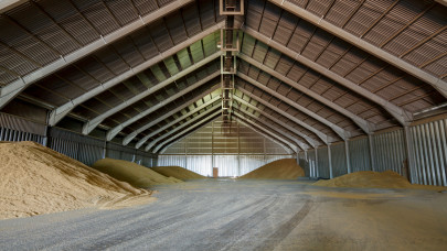 Kivárnak a magyar gazdák: egekben a gabona ára, de ebbe most megéri belevágni