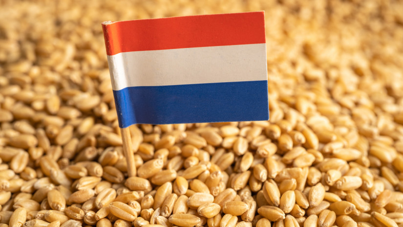 Eldurvult a gazdatüntetés: lemondott a holland agrárminiszter